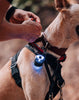 OLIGHT GOBER KIT