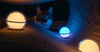 OLIGHT SPHERE (Express Delivery)