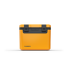 RECON MEDIUM Passive hard cooler, glow 41L
